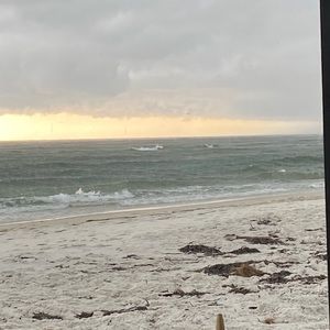 Meet your Posher, Shayla